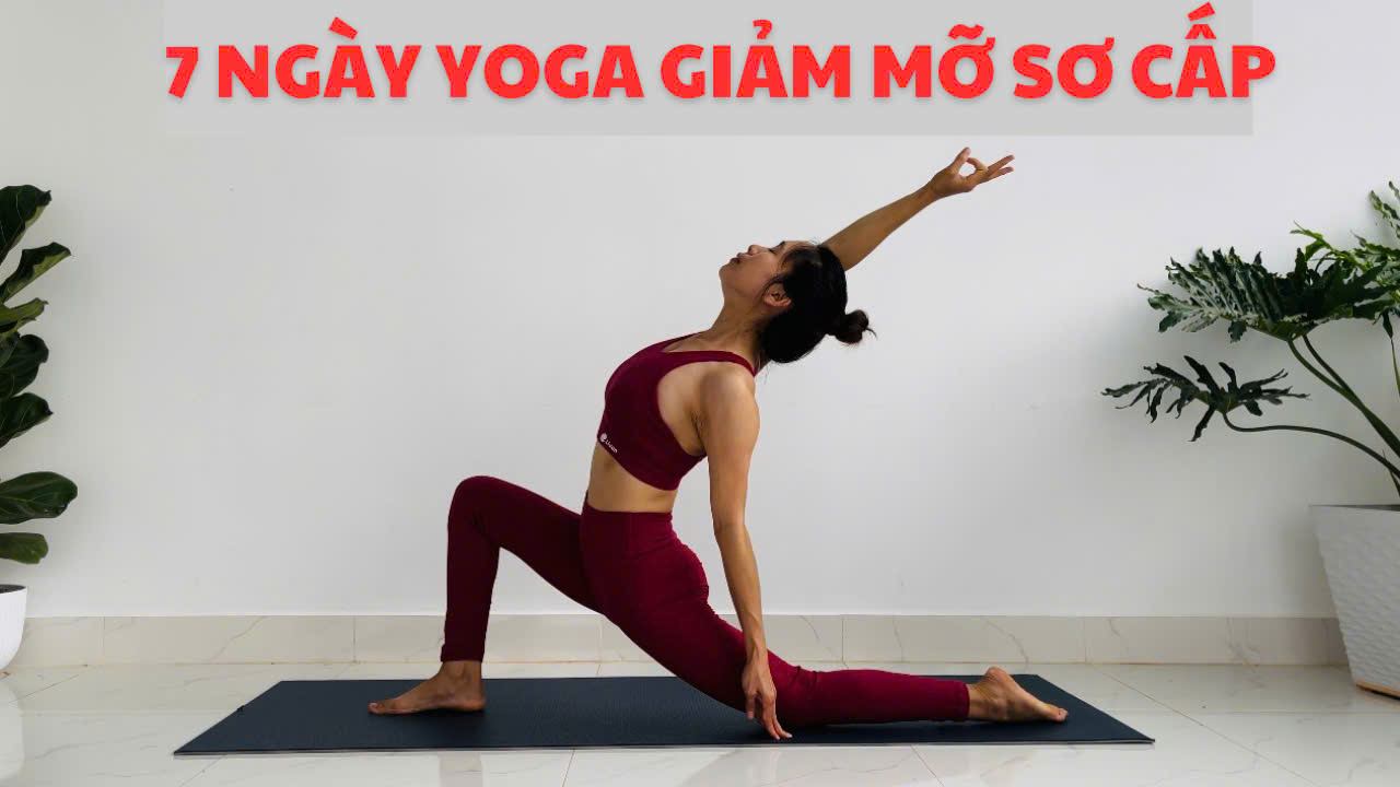 7 Ngày Yoga Giảm Mỡ Sơ Cấp